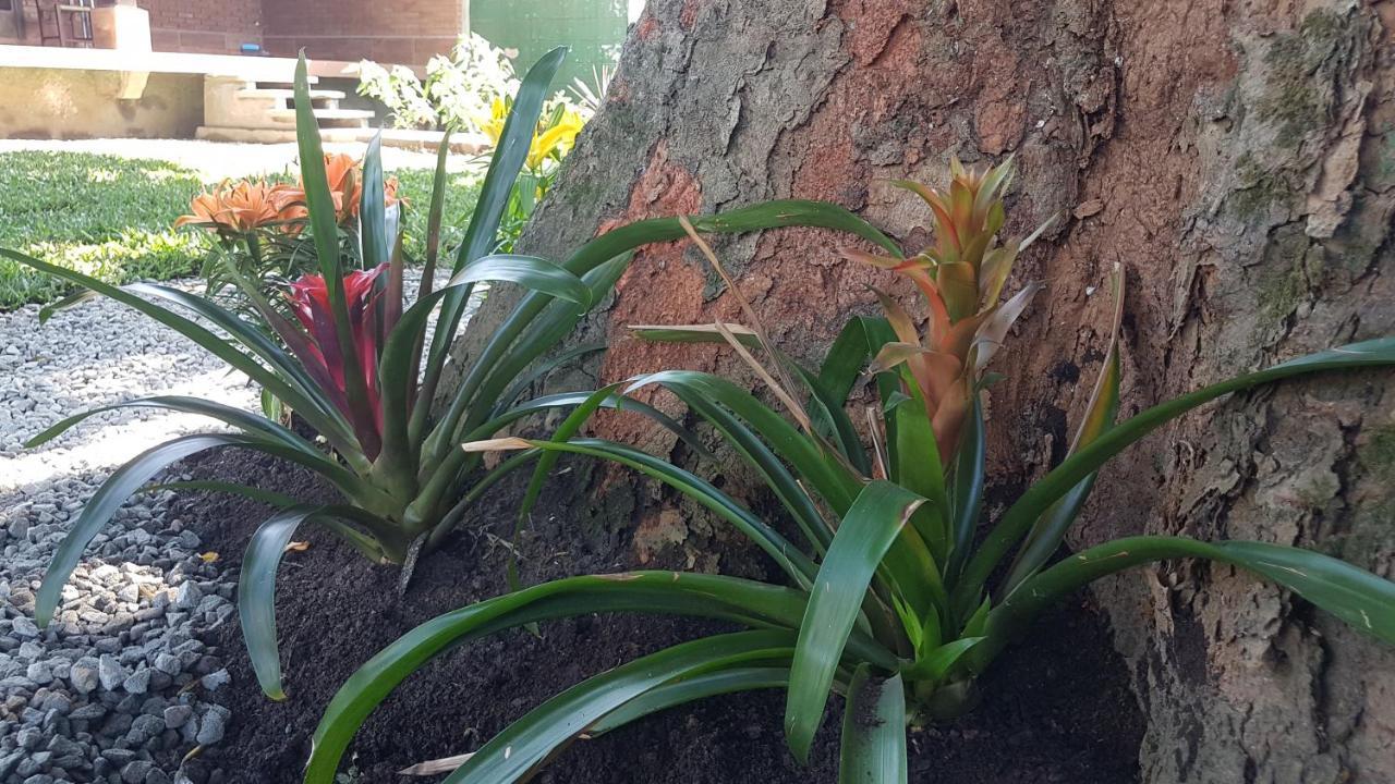 Hospedagem Economica Flor De Maria Caraguatatuba Zewnętrze zdjęcie